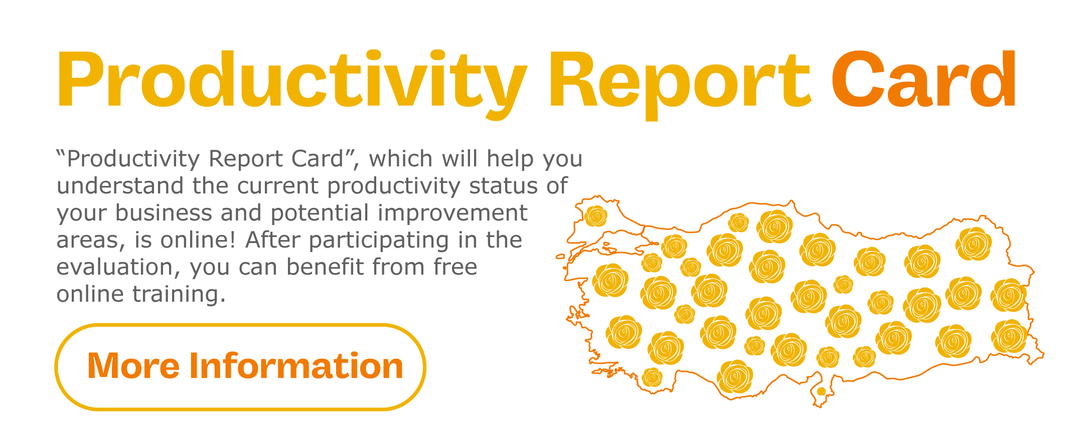 Productivity Report Card